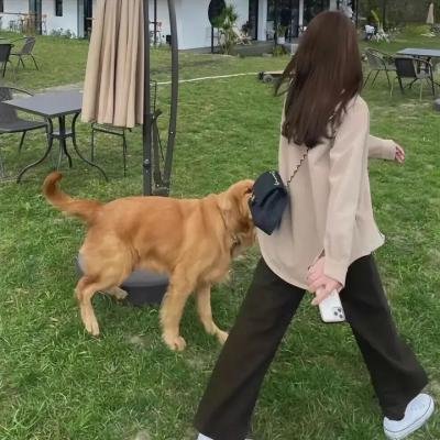 请和我奔现吧